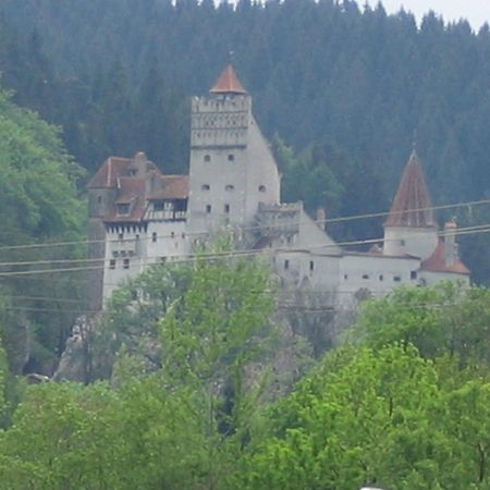 Pensiunea Din Livada Бран Экстерьер фото